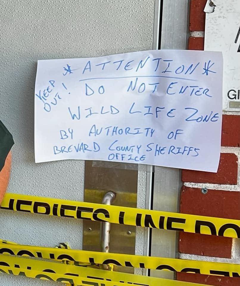 Florida school intruder identified as opossum in girls’ bathroom