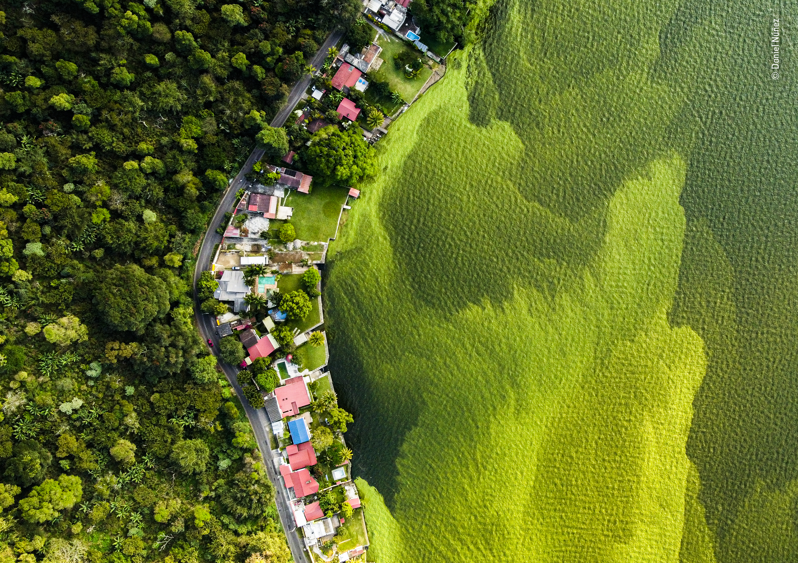 Wildlife Photographer of the Year 2022 entries