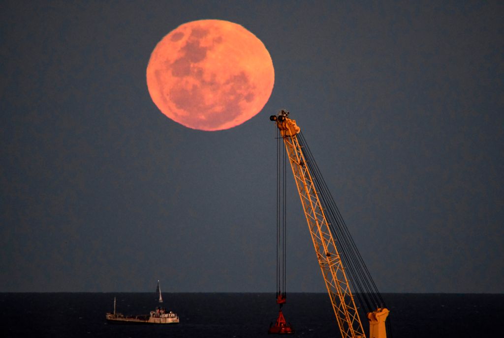 Photos: Halloween Blue Moon brightens the night sky
