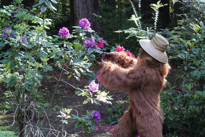 Bigfoot