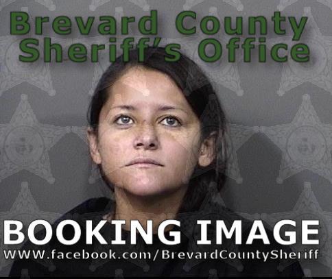 Florida woman accused of drowning Chihuahua, deputies say