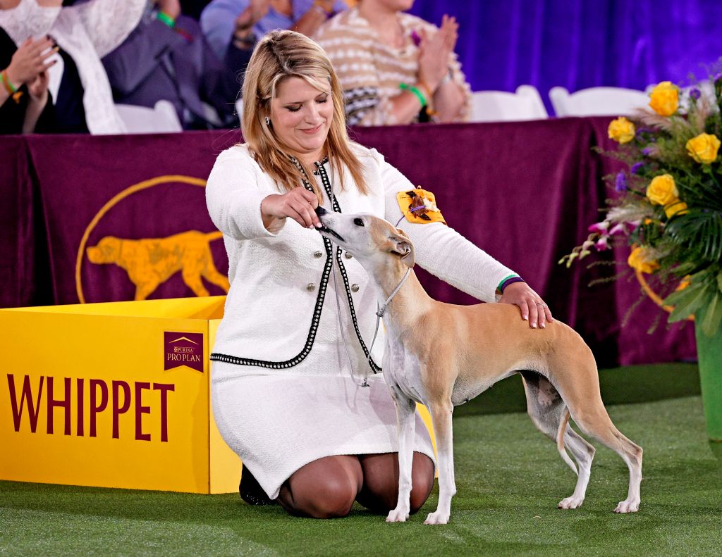Photos: 2021 Westminster Dog Show
