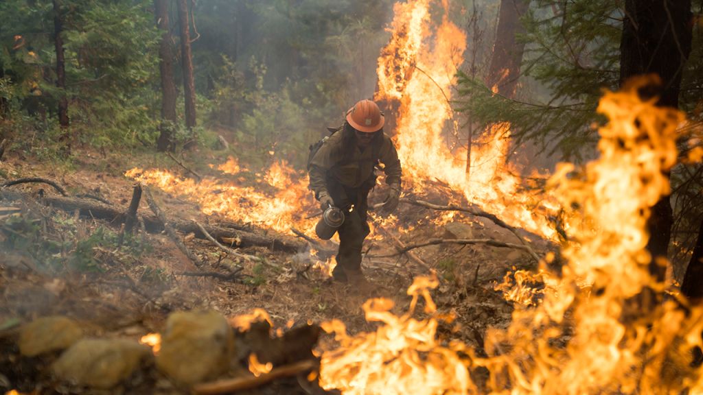 Photos: California's Mosquito Fire becomes state's largest blaze of 2022
