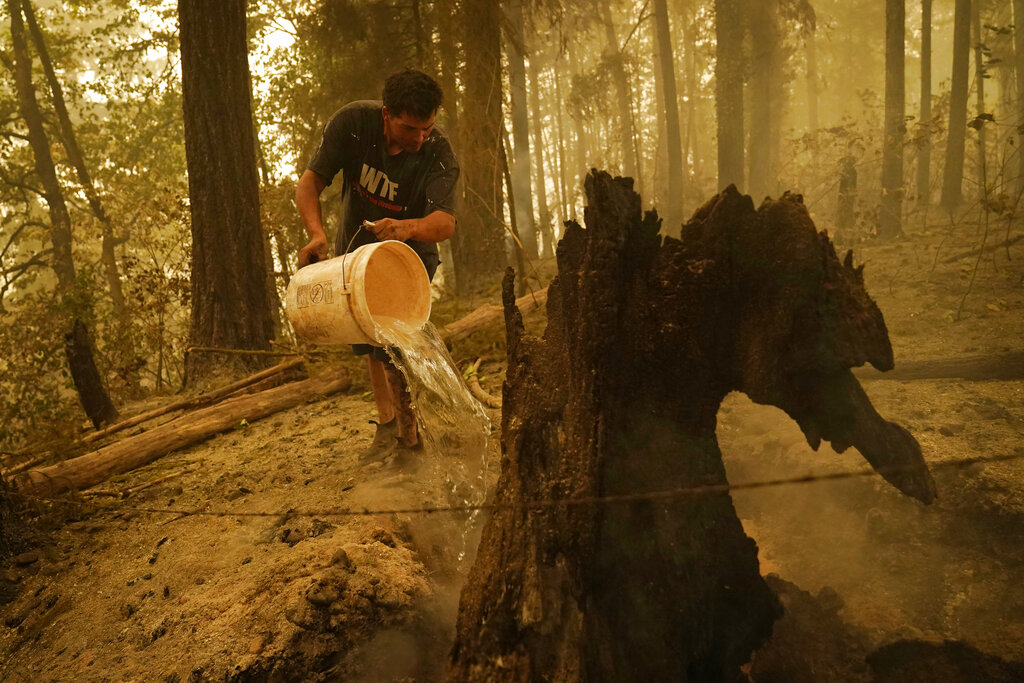 Wildfires