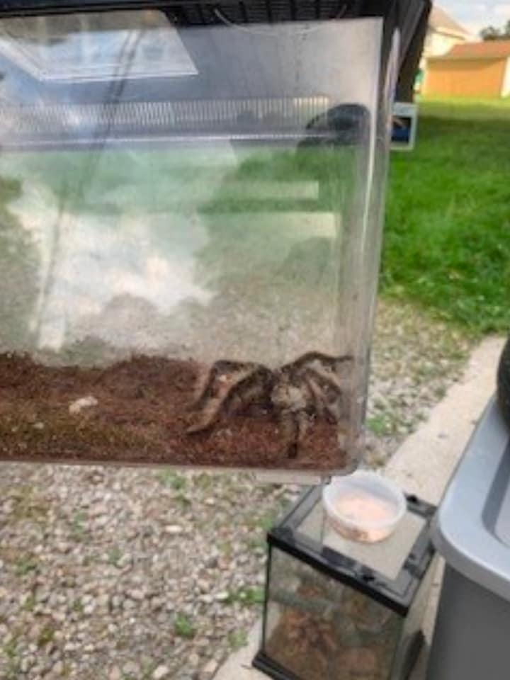 Photos: Dozens of animals and 300 fish rescued in Ohio