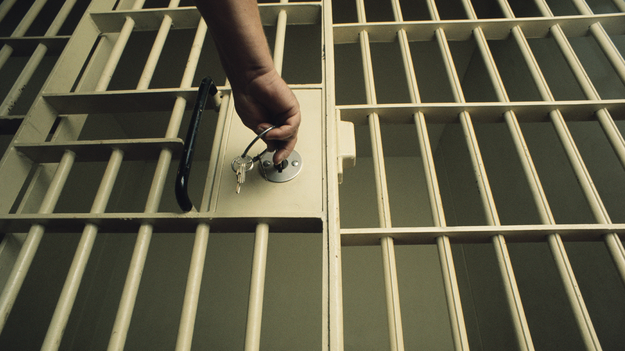 Georgia man sentenced to 1,000 years in prison for child porn in 2013 has been paroled