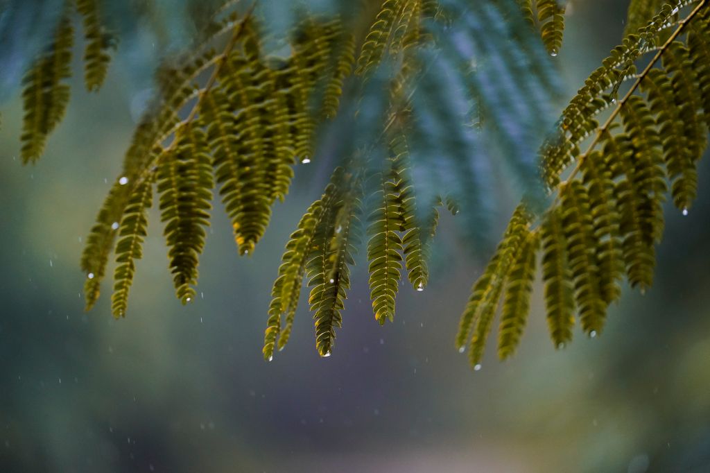 Photos: Fred drenches Florida, US Southeast