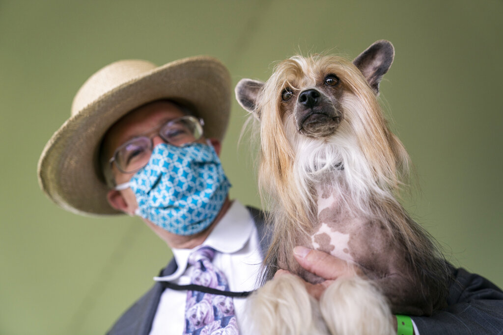 2021 Westminster Dog Show