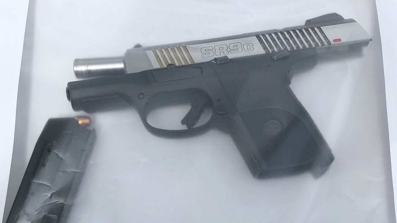 FedEx driver shot at after running over family’s dog; mother, son arrested, authorities say