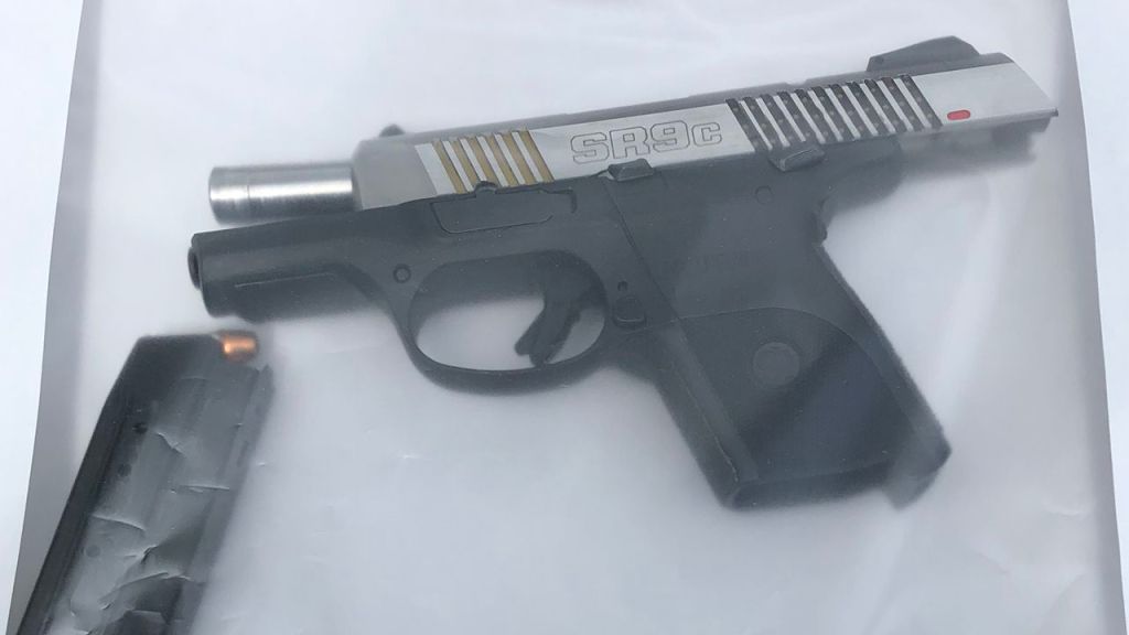 FedEx driver shot at after running over family’s dog; mother, son arrested, authorities say