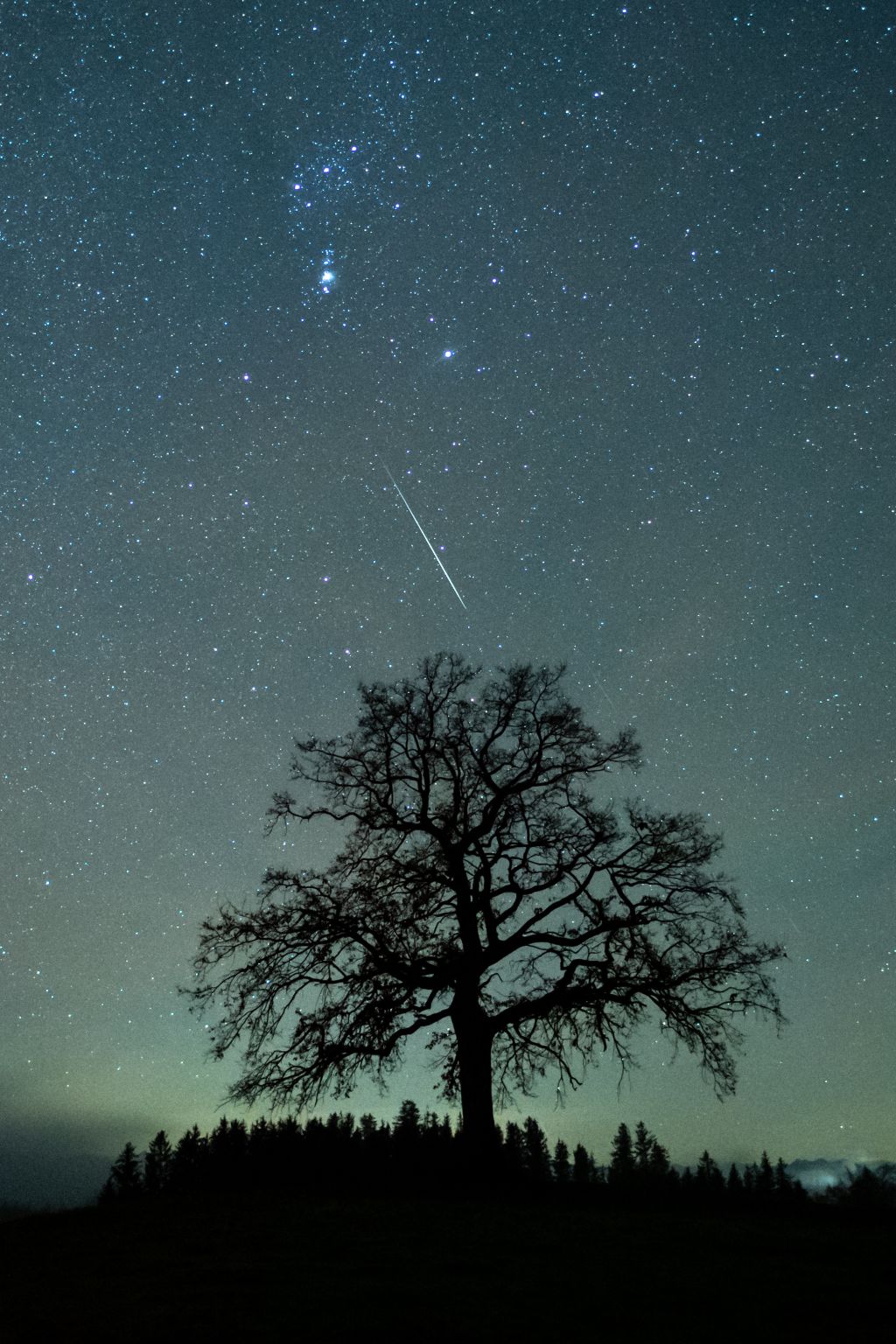 Photos: 2020 Geminid meteor shower lights up the night sky
