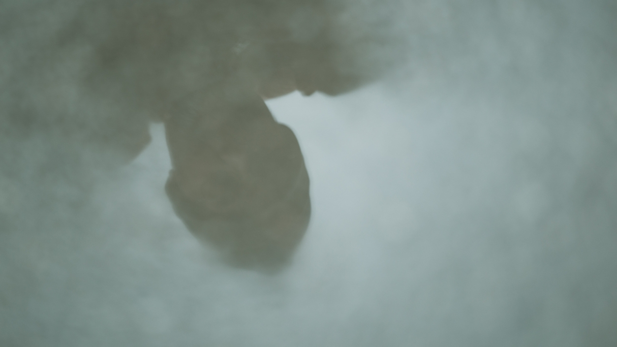 Ghost of the Gray Man