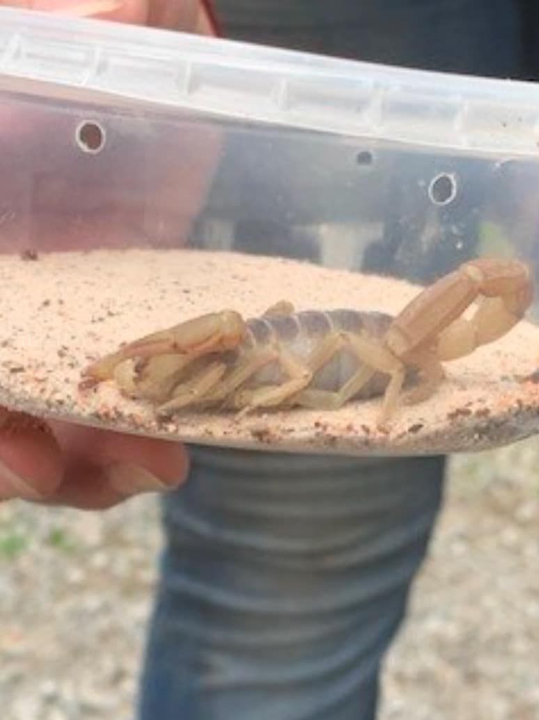 Photos: Dozens of animals and 300 fish rescued in Ohio