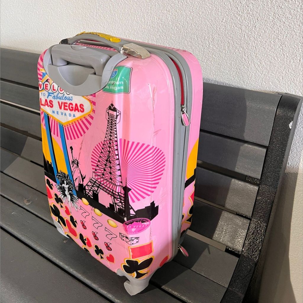 Litter of puppies found zipped inside of suitcase