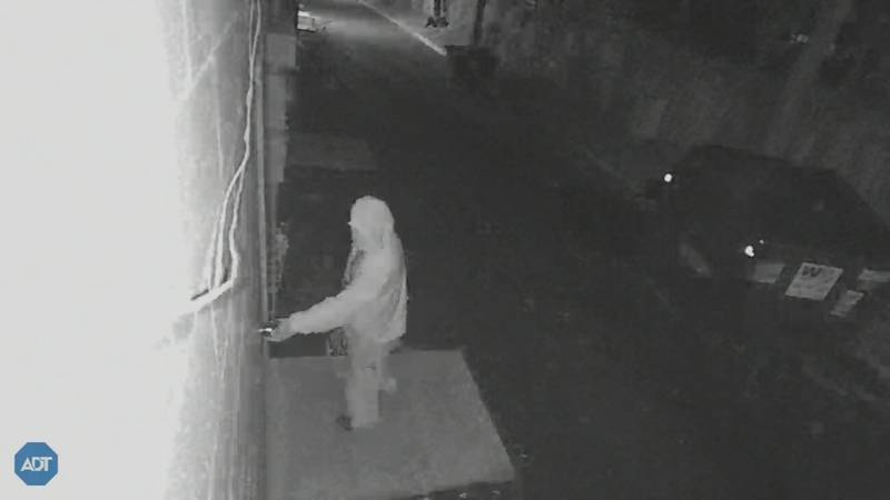 Thieves cut holes in roof, wall to steal from Florida jewelry store