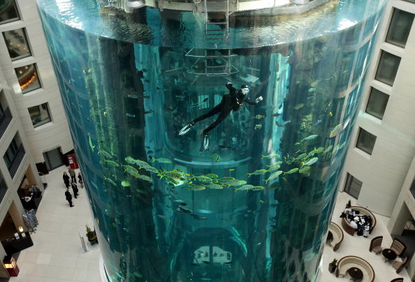 Aquarium bursts