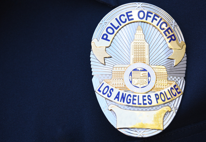 Wrongful-death suit filed after LAPD officer's fatal training injury