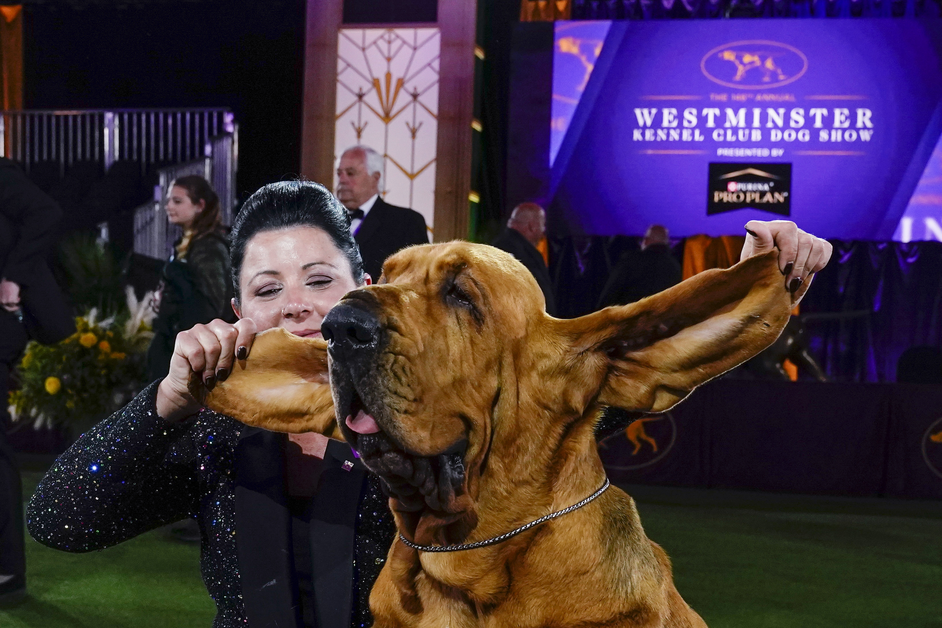 Photos: Westminster Dog Show 2022