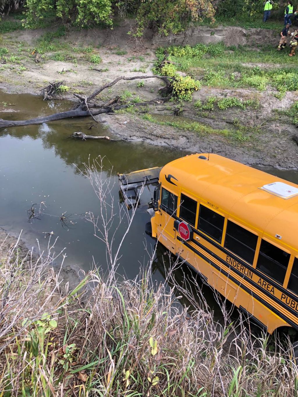 School bus crashes into river