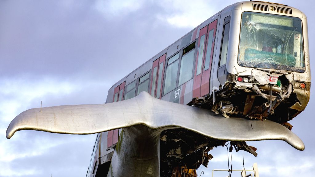Netherlands train whale