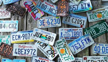 Maine vegan forced to give up license plate in statewide crackdown