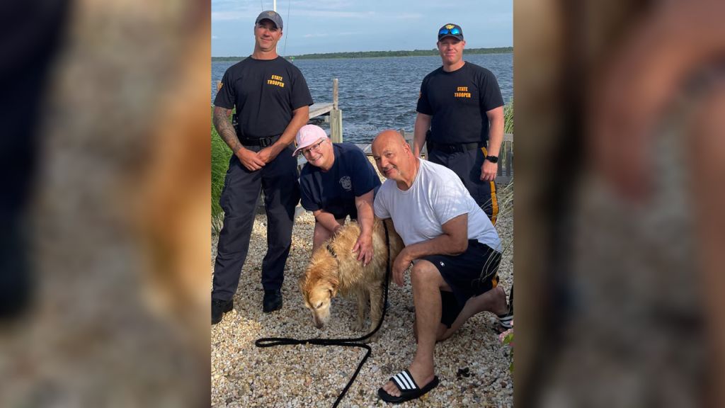 Police rescue missing dog from New Jersey bay, reunite him with owners