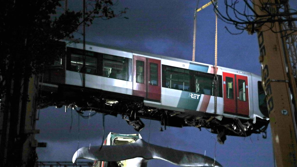 Netherlands train whale