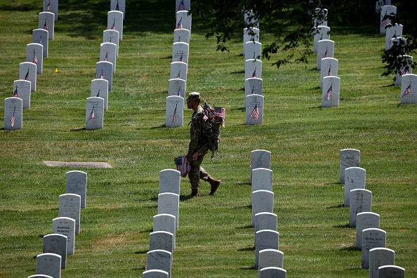 Arlington Cemetery flags