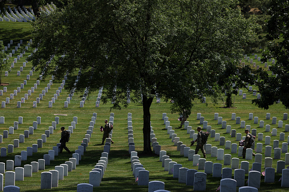 Arlington Cemetery flags