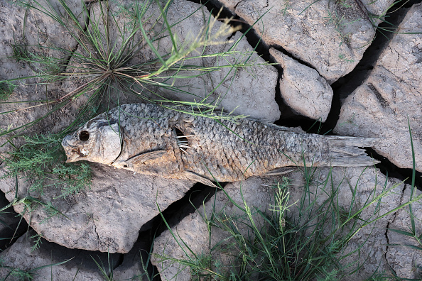 Photos: Lake Mead inches closer to 'dead pool' water levels