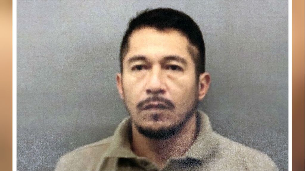 Flight attendant cold case murder