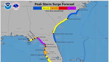 Peak storm surge forecast