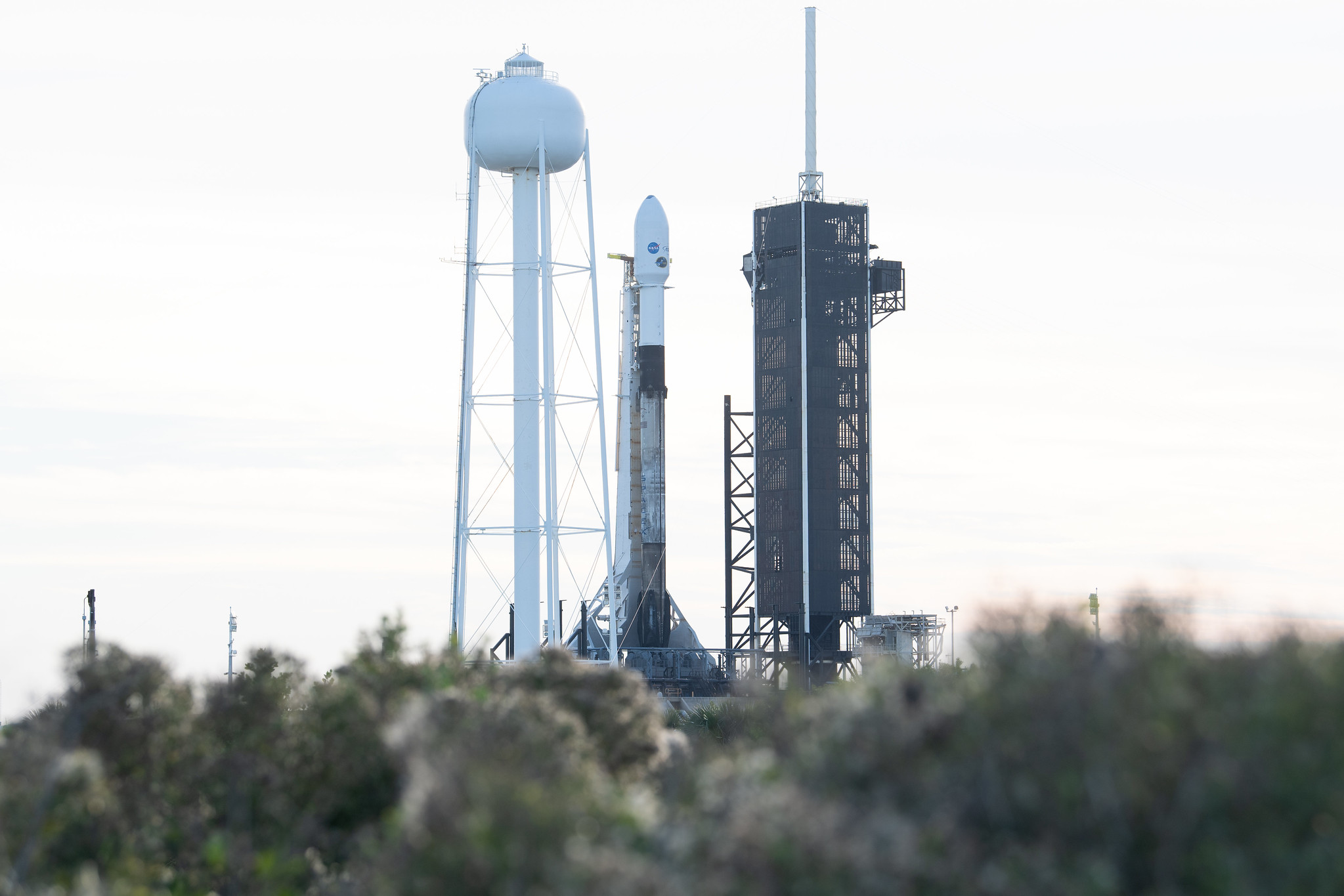 Photos: SpaceX launches NASA IXPE telescope