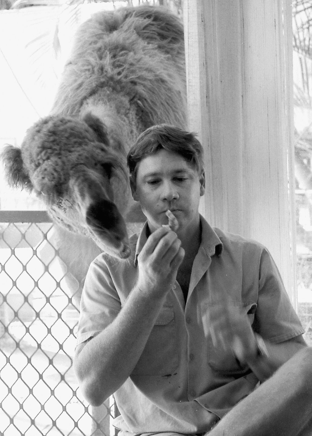 Photos: Steve Irwin, 'The Crocodile Hunter,' through the years