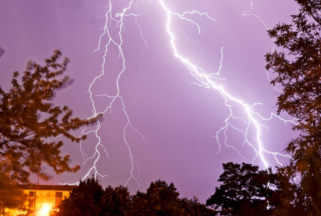Woman, two dogs killed after being struck by lightning in California