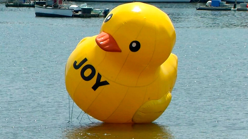 Giant duck