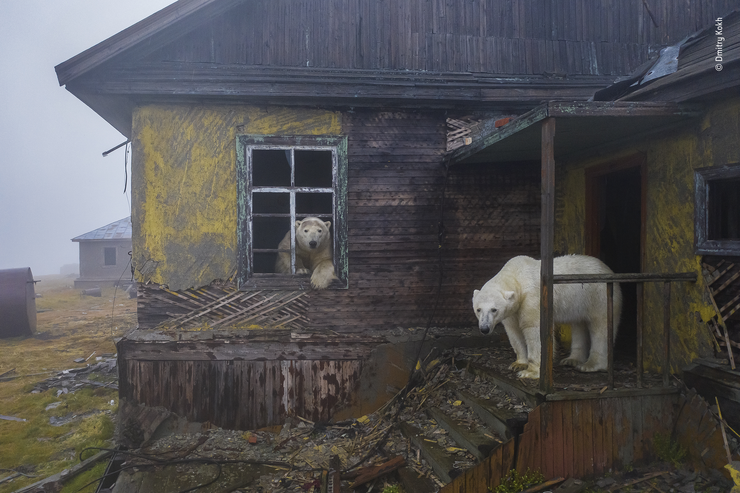 Wildlife Photographer of the Year 2022 entries