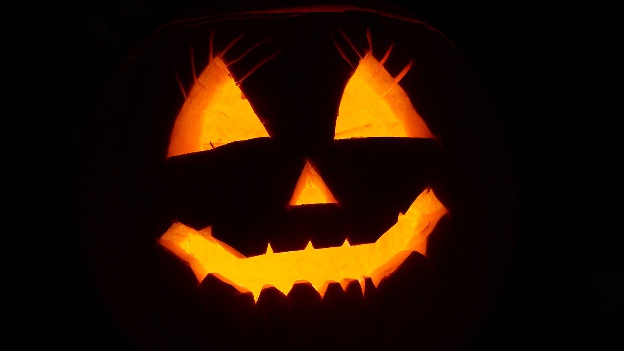 Man carves, lights 500 pumpkins for Halloween display