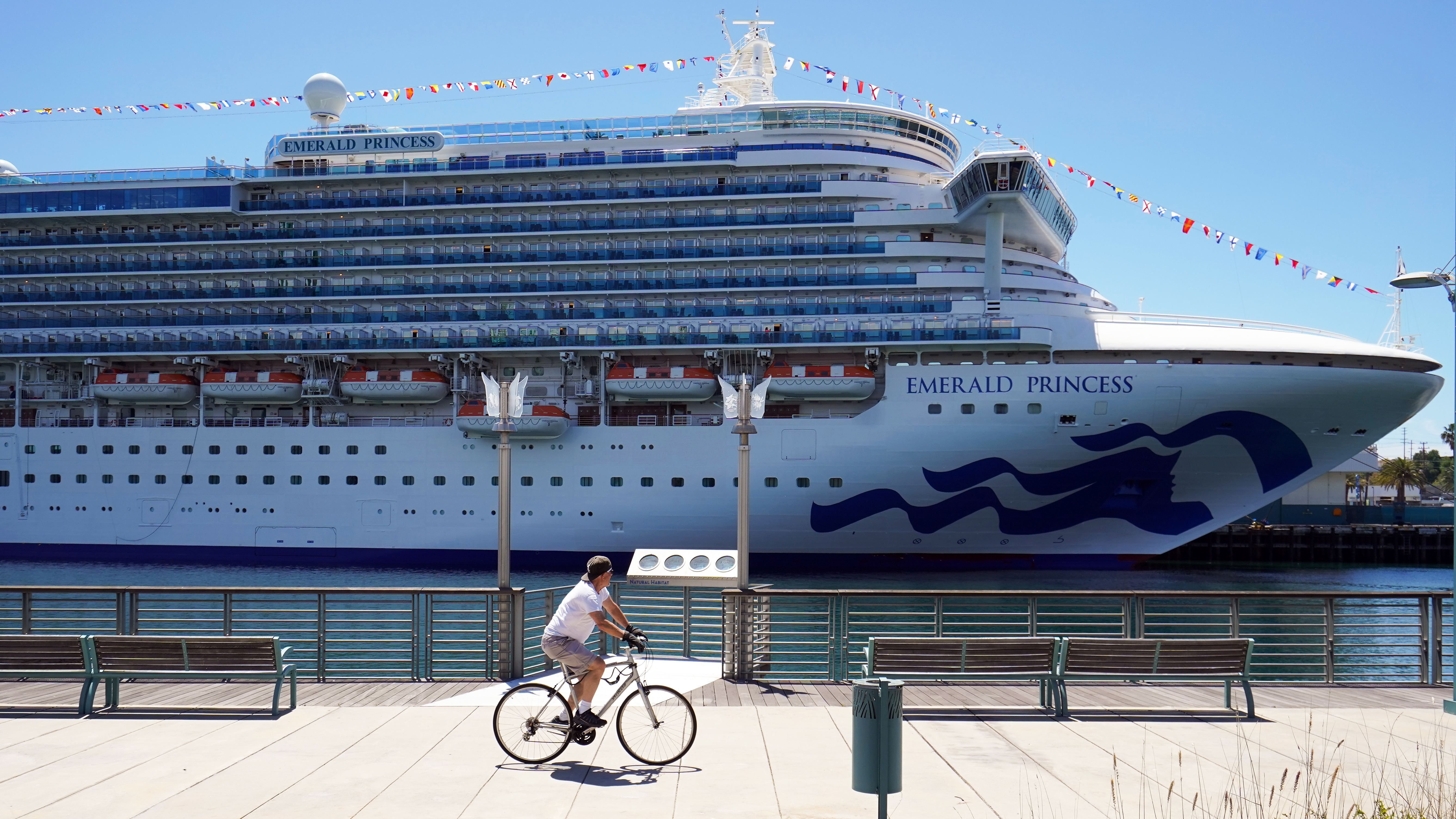 Cruise ship murder: