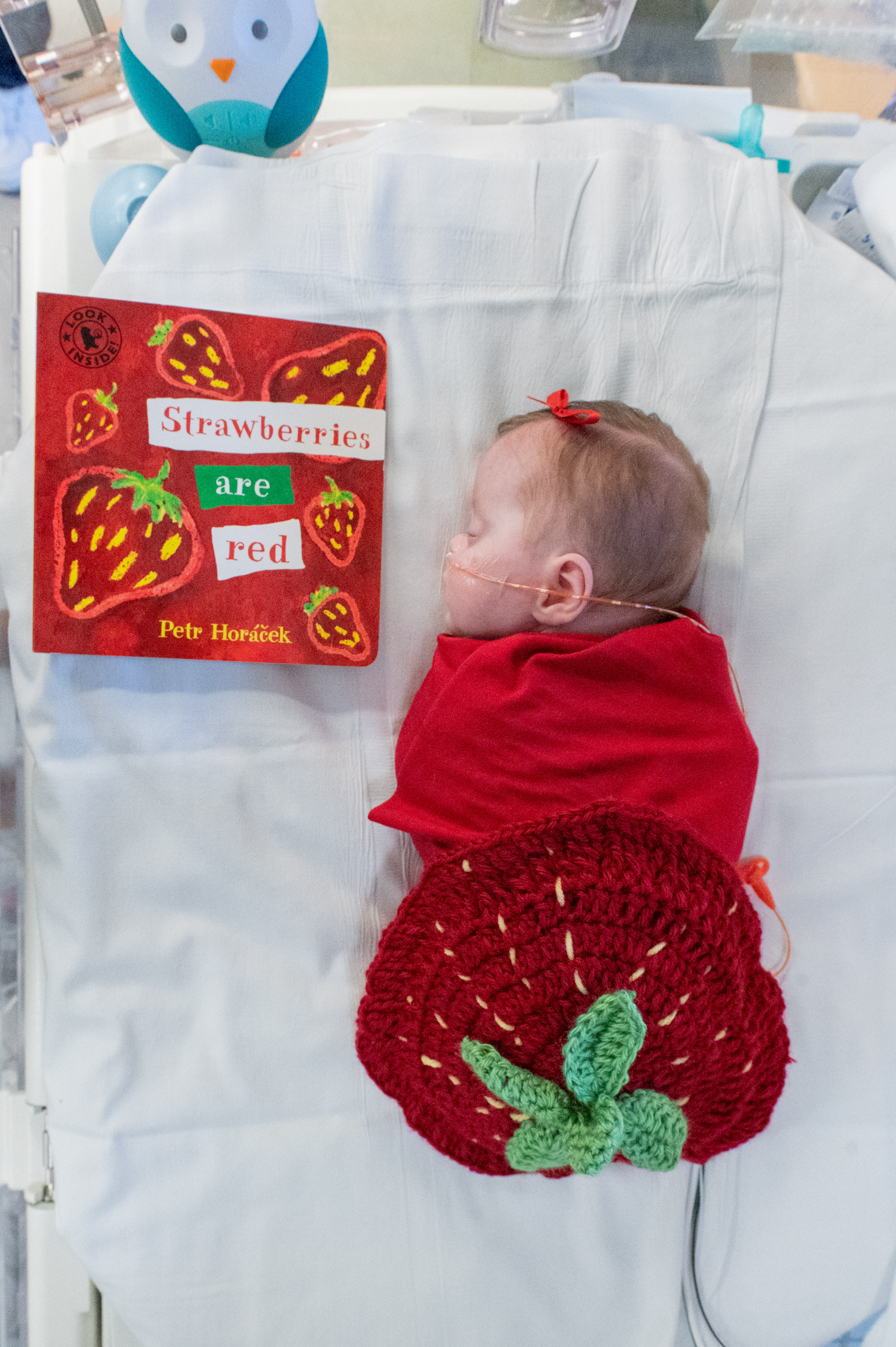 NICU babies celebrate ‘Storybook Halloween’