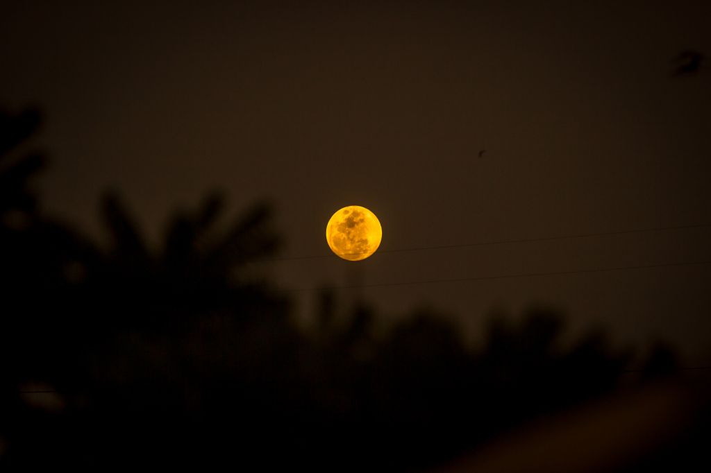 July 2020 buck moon