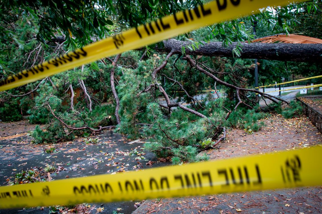 Photos: Zeta leaves trail of destruction across Southern states