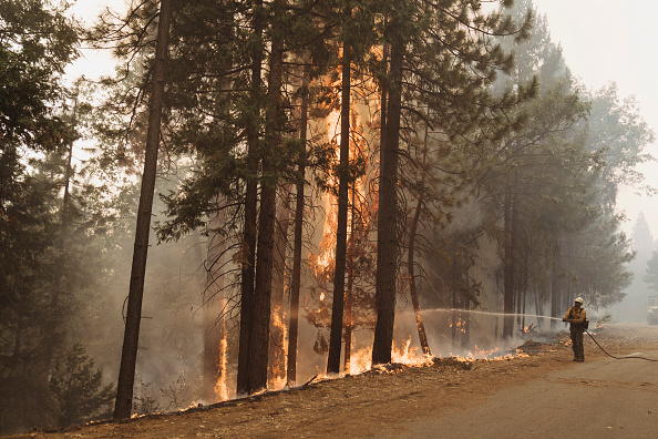 Photos: California's Mosquito Fire becomes state's largest blaze of 2022