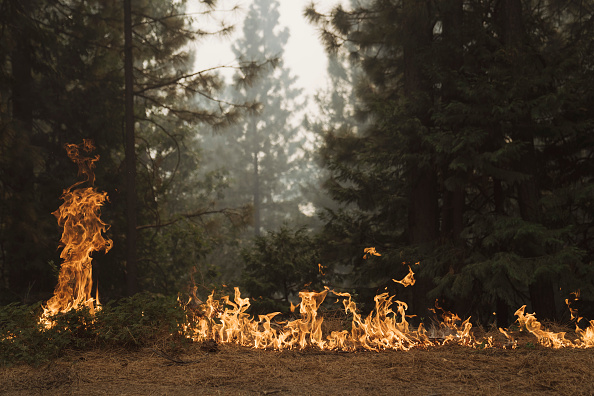 Photos: California's Mosquito Fire becomes state's largest blaze of 2022