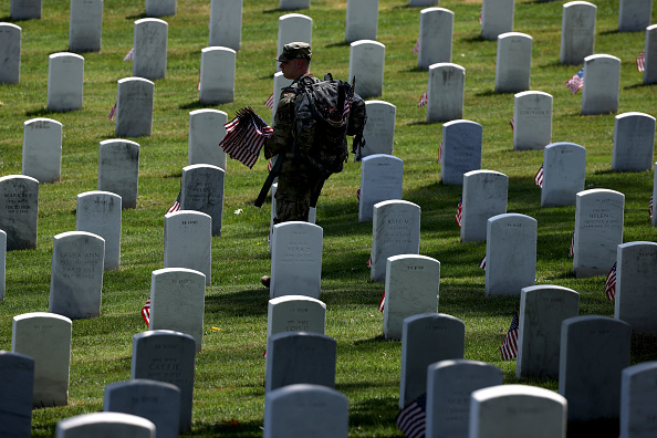 Arlington Cemetery flags