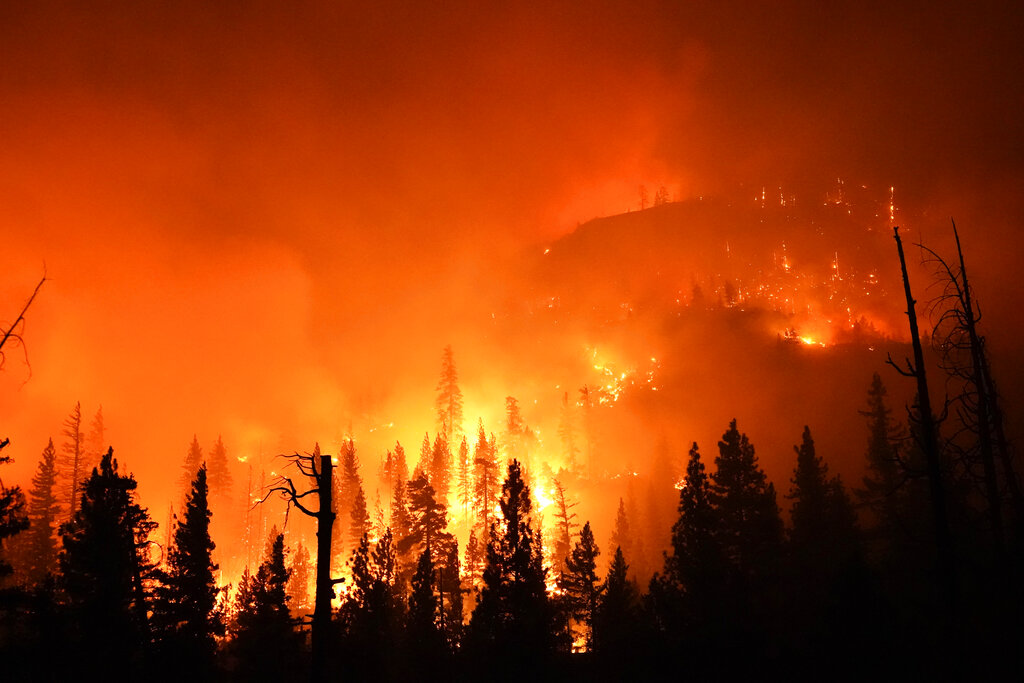 California wildfire