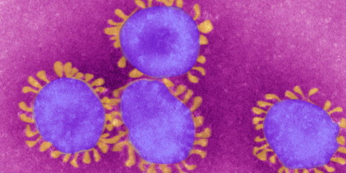 Coronavirus Rhode Island