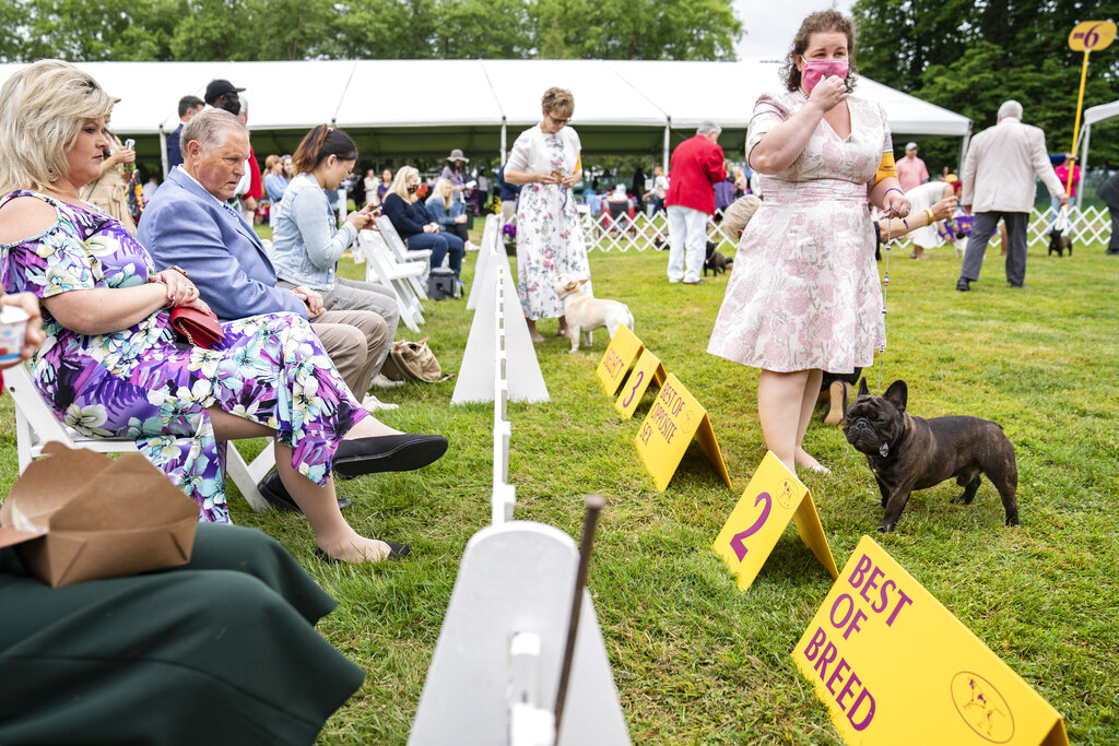 2021 Westminster Dog Show