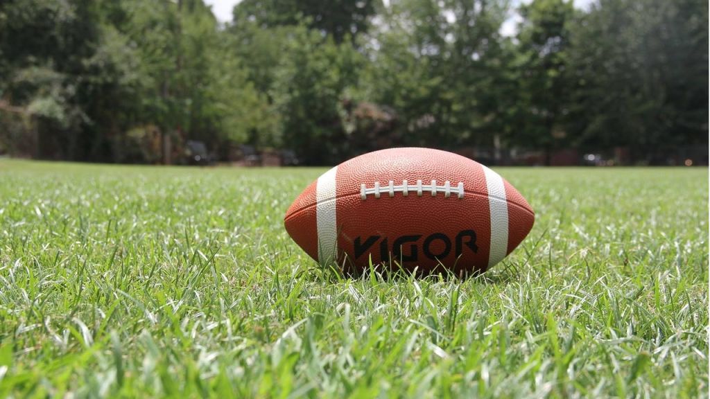 Texas School for the Deaf football team wins first state championship