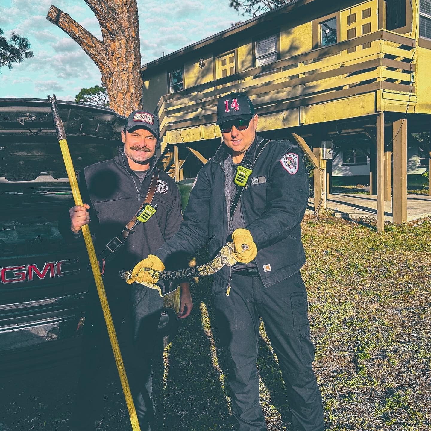 Firefighters remove snake from truck